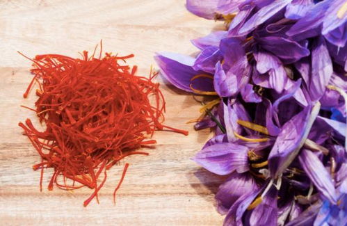 悉尼寻味奇遇 地表最贵七种食材与藏红花的免费奥秘