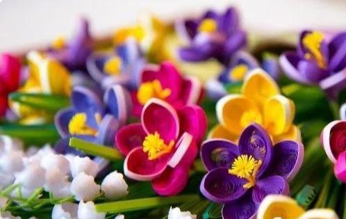 只用一两种卷法,就能做出好看的衍纸番红花,纸艺藏红花好看吗